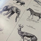 LIFE World Library Coffee Table Books